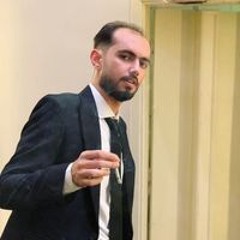 محمود السيد