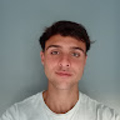 Tomas Flammini