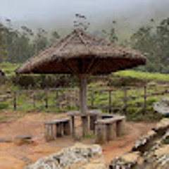 Rukiya Haadiya
