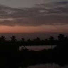 21_Trịnh Hoàng Linh