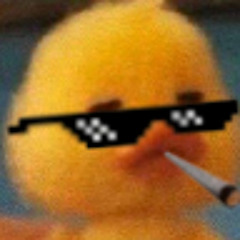 Duck Planer