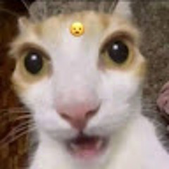 Nellie