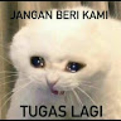 Muhammad Ilham