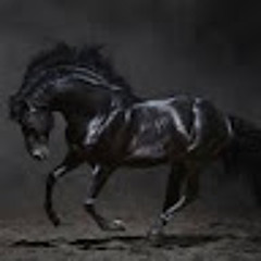 User 563119285