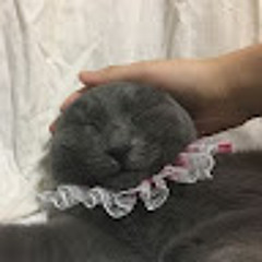 초코