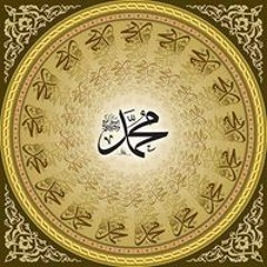 Amir Malik