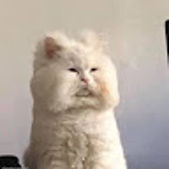 송지현
