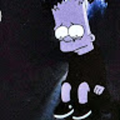 محمد سالم العلوي العلوي