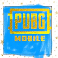 PUBGNORMAL
