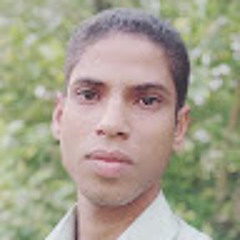 Mohammad Reza Dorzadeh