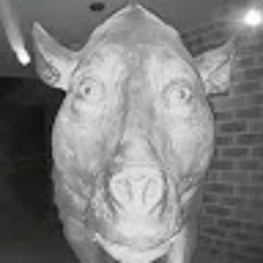 TheGorilla