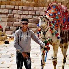 حمدي مستكاوي