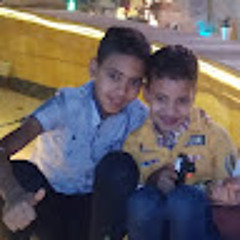 محمد النوبى