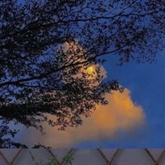 فهد الرشيدي
