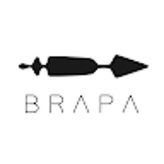 Team BRAPA