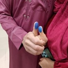 الشنراوي المصري