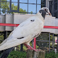 高田雅啓