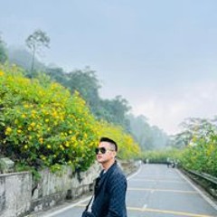 Lee Anh