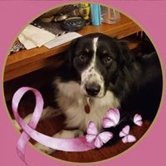 Judy Pieszak Sanders