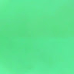 Sean Arista Martinez