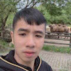 Trần Bảo Nguyễn