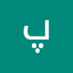 پارسا عباسی