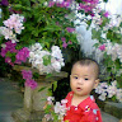 Phan Phuoc