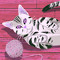 DRIFTYCAT