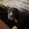 Toby Tye