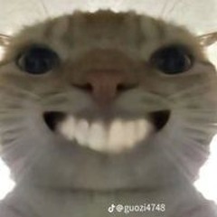 Long Hoàng