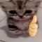 Loverboy Lovecats