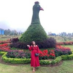 Ade Marzithayani