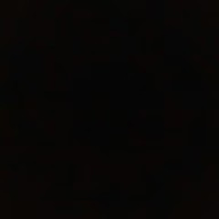 П. Содбилэг_1010