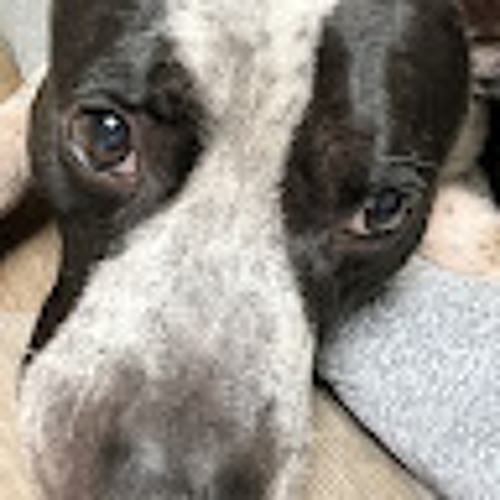 Good vibz | made on the Rapchat app (prod. by MareSoFresh)