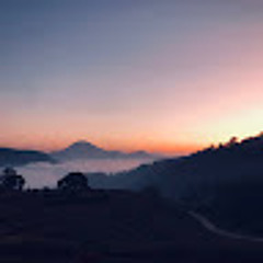 Tuấn Anh Hoàng