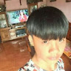 Thái kiều