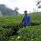 Prem Kumar