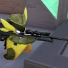 Роман Чередов (Sk1wart)