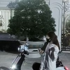 Ng Thư