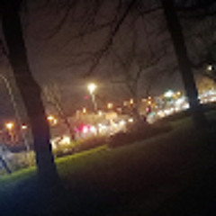 Denny-Morice Förster