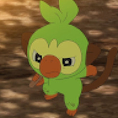 ppp