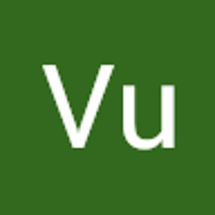 Vu Bachlinh