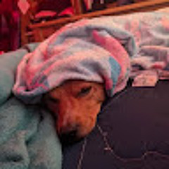 Elliott Kull (SleepyCTB)