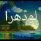 User 384911566