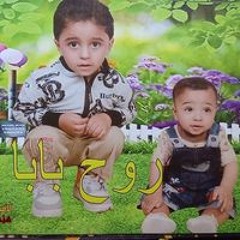 ابو محمود العشماوي