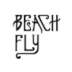 Beach Fly