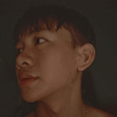 Vũ Hùng Đàm Trọng