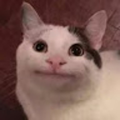 User 36511643