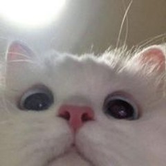 Trần Hồng Ngọc