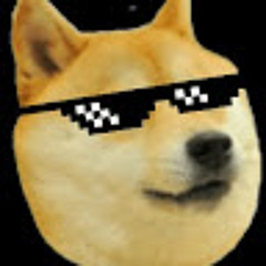 -not-shiba